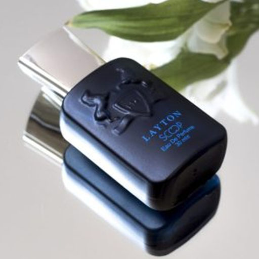 معرفی بهترین عطر مردانه | بهترین ادکلن مردانه