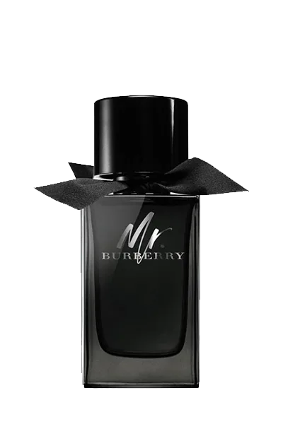 عطر بربری مستر بربری ادو پرفیوم مردانه 150 میل