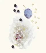 تصویر کوچک 1 عطر ویدیان بلک 4 اکستریت زنانه و مردانه 50 میل