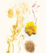 تصویر کوچک 3 عطر ویدیان لیوا اکستریت زنانه و مردانه 50 میل