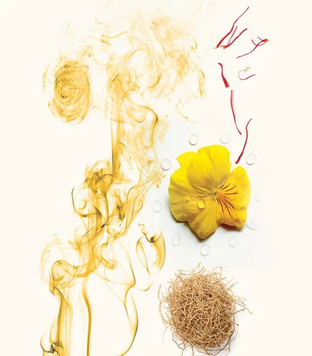 عطر ویدیان لیوا اکستریت زنانه و مردانه 50 میل - تصویر 3