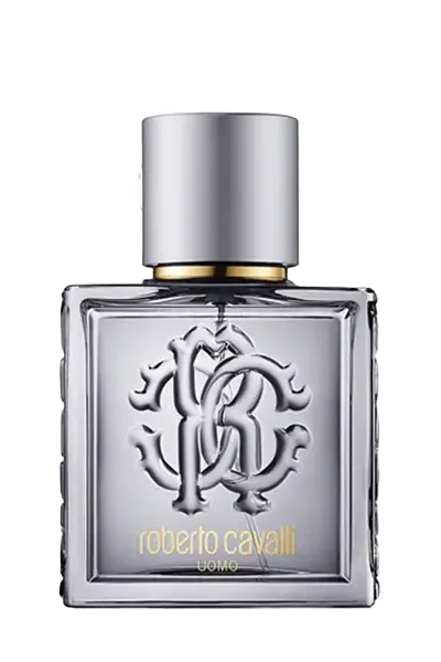 عطر روبرتو کاوالی اومو سیلور ادوتویلت مردانه 100 میل