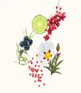 تصویر کوچک 3 عطر ویدیان گرانادا اکستریت زنانه و مردانه 50 میل