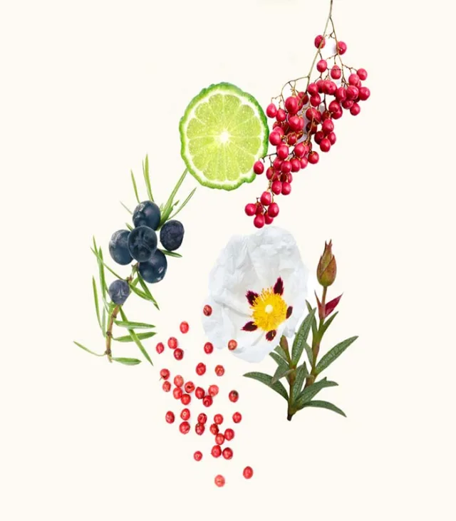 عطر ویدیان گرانادا اکستریت زنانه و مردانه 50 میل - تصویر 3