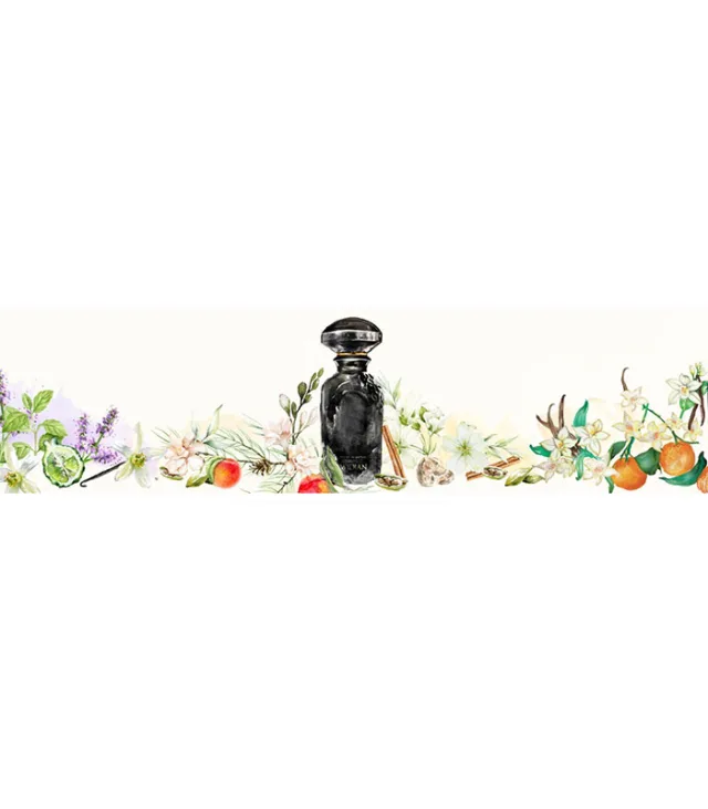 عطر ویدیان بلک 4 اکستریت زنانه و مردانه 50 میل - تصویر 4