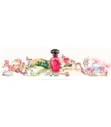 تصویر کوچک 4 عطر ویدیان بنیاس اکستریت زنانه و مردانه 50 میل