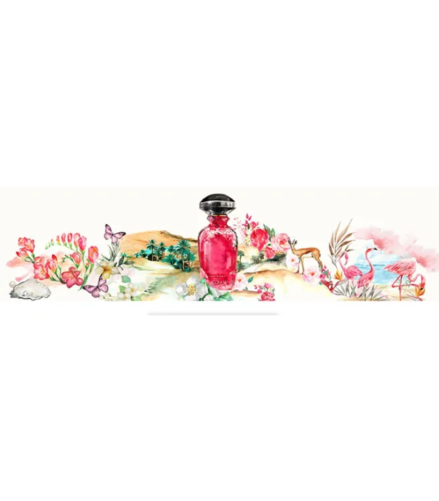 عطر ویدیان بنیاس اکستریت زنانه و مردانه 50 میل - تصویر 4