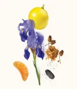 تصویر کوچک 3 عطر ویدیان نیویورک اکستریت زنانه و مردانه 50 میل