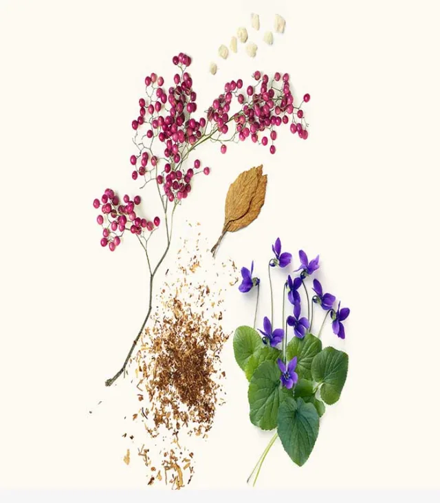 عطر ویدیان اسوان اکستریت زنانه و مردانه 50 میل - تصویر 2