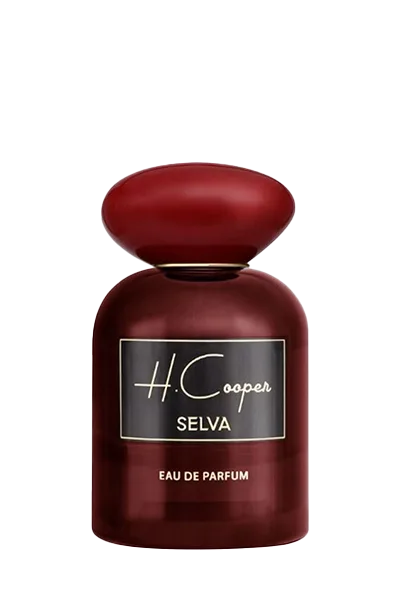 عطر اچ کوپر سلوا ادوپرفیوم زنانه 100 میل