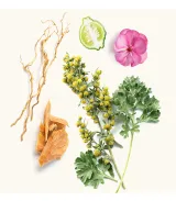 تصویر کوچک 3 عطر ویدیان بنیاس اکستریت زنانه و مردانه 50 میل