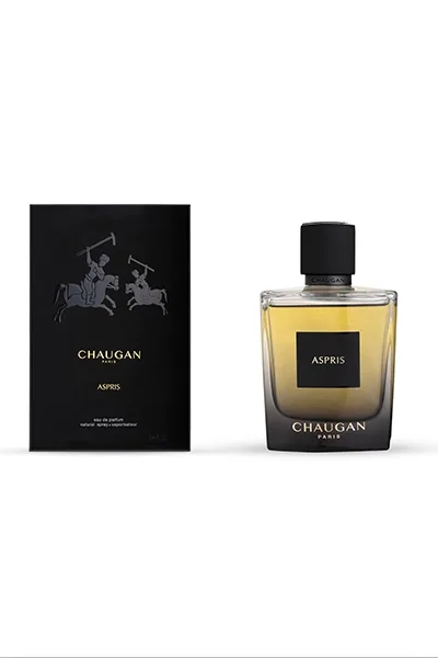 عطر چوگان اپریس ادوپرفیوم مردانه 100 میل - تصویر 3