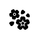 گلی چوبی کهربایی