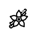 کهربایی وانیلی