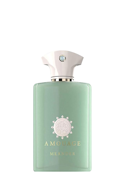 عطر آمواج میندر مردانه 100 میل