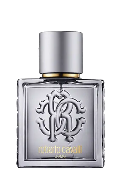 عطر روبرتو کاوالی اومو سیلور ادوتویلت مردانه 100 میل