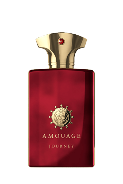 عطر آمواج جورنی مردانه ادوپرفیوم 100 میل