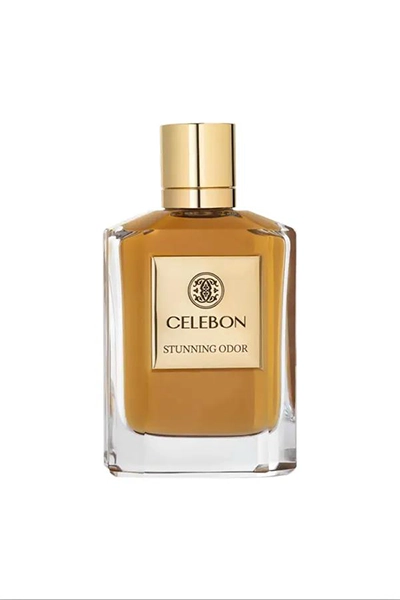 عطر-سلبون-استانینگ-اودور-ادوپرفیوم-مردانه-100-میل