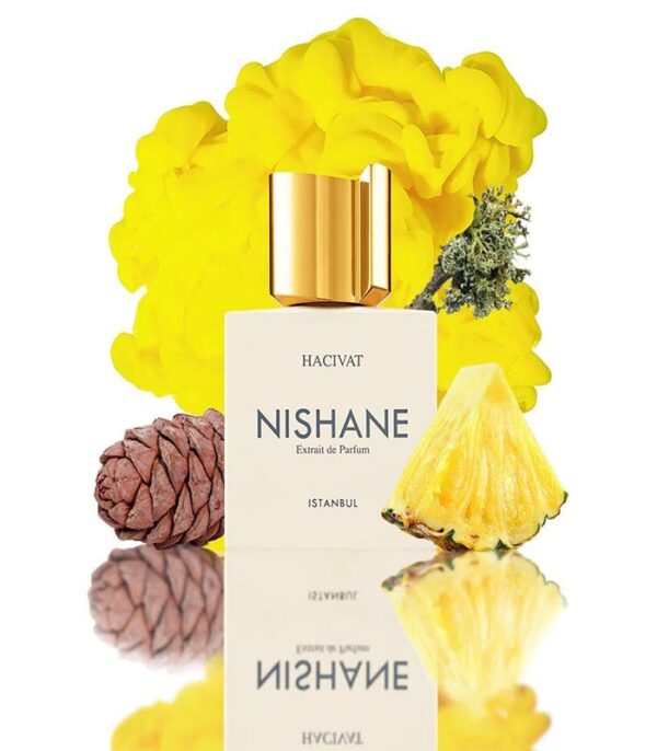 اکستریت نیشانه هاچیوات مردانه (Nishane Hacivat For Men EDP