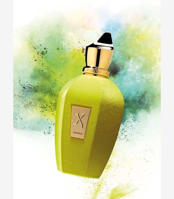 عطر اورجینال زرژوف وی کالکشن امابیل | Xerjoff V Collection Amabile
