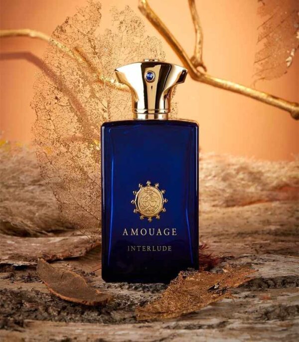 عطر آمواج اینترلود ادوپرفیوم مردانه 100 میل