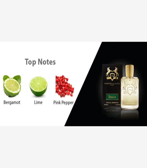 عطر شاگیا ادو تویلت Parfums de Marly مردانه (Parfums de Marly Shagya EDT)