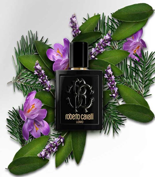 عطر روبرتو کاوالی اومو ادوتویلت مردانه 100 میل - Roberto Cavalli Uomo Edt