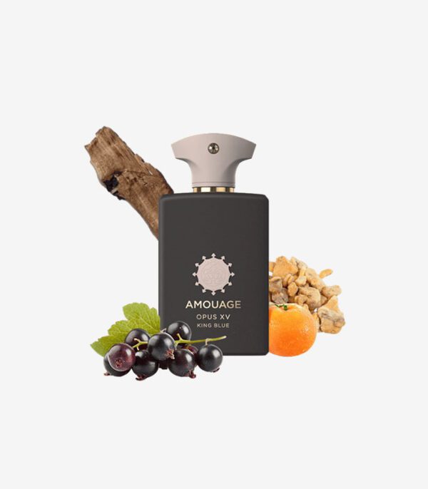 عطر آمواج اپوس XV کینگ بلو ادوپرفیوم مردانه 100 میل