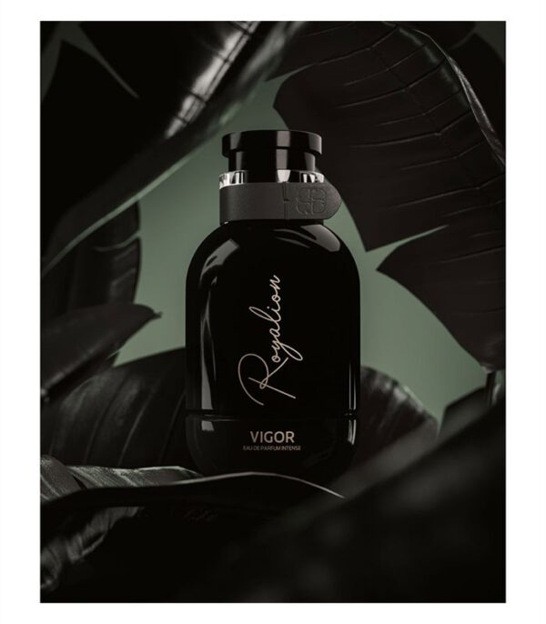 عطر رویالیون ویگور اینتنس ادوپرفیوم مردانه 100 میل